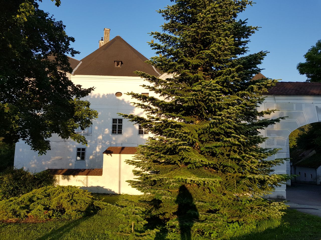 Am Weg zum Schloss Leiben